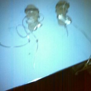 Little girl's  shoes